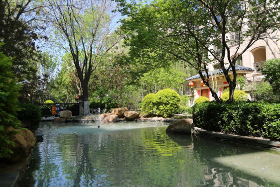 云顶集团集团