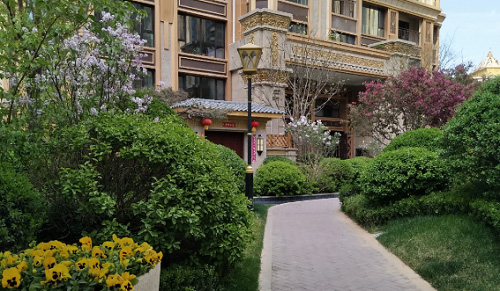 云顶集团集团